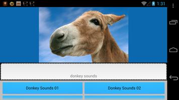 Donkey Sounds funny