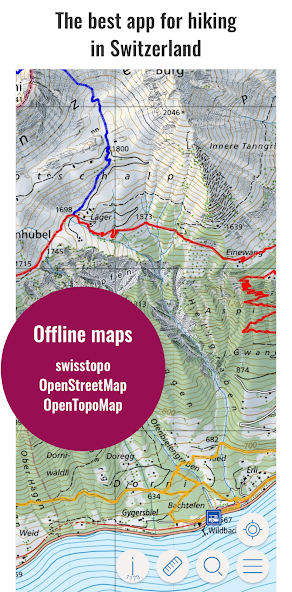 Swiss Pro Map