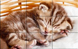 Puzzle - kittens