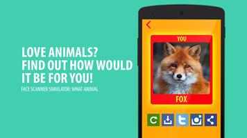 What animal simulator