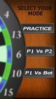 Professional Darts 3D