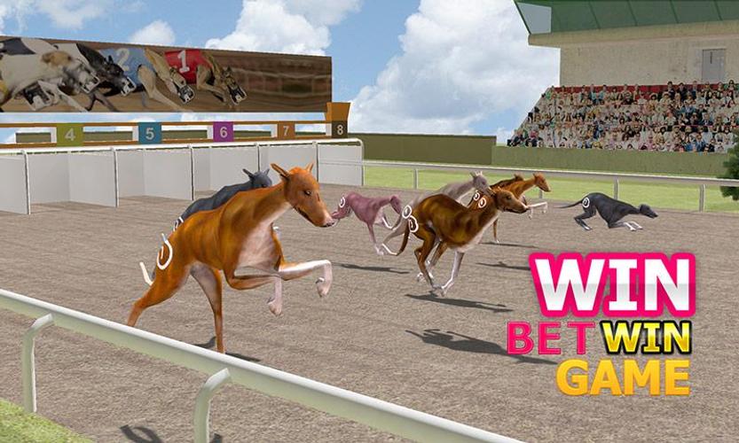 Dog Racing Simulator 3D