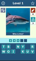 Fish: Quiz