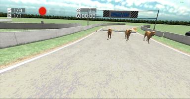 Dog Racing : Labrador