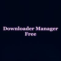 Downloader Manager Guide