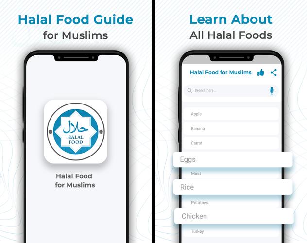 Halal Food for Muslims