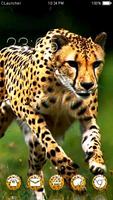 Wild Cheetah  Animal Theme HD