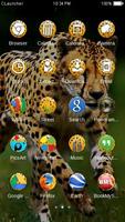 Wild Cheetah  Animal Theme HD