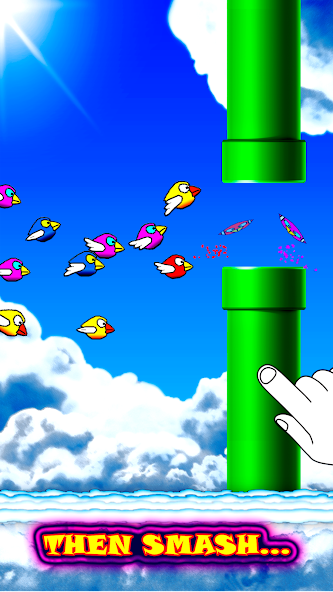 Fun Birds Game - Angry Smash