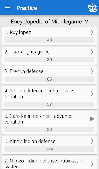 Chess Middlegame IV