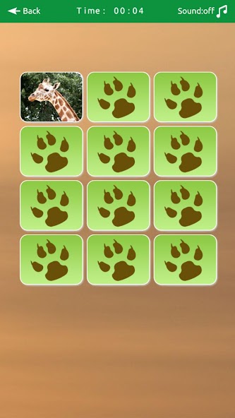 Wild Animals Memory Game