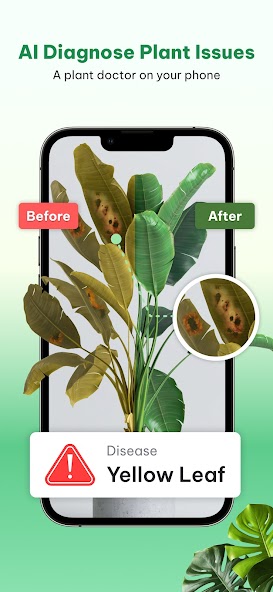 Plant Identifier & Plant Care