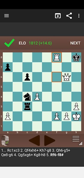 Fun Chess Puzzles