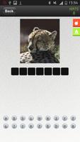 Guess The Animals Quiz