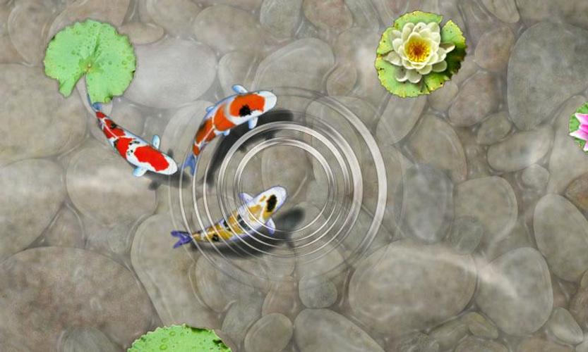 Feed the Koi fish Kids Game