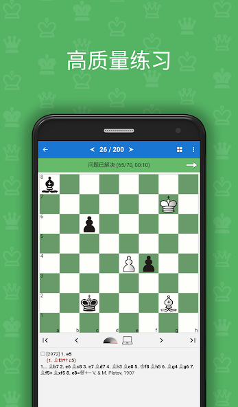 Chess Endgame Studies