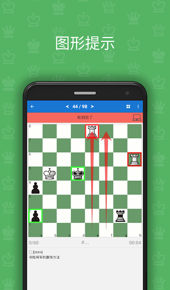 Chess Endgame Studies