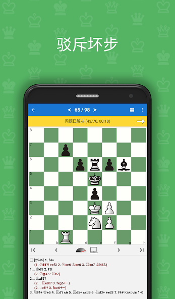 Chess Endgame Studies