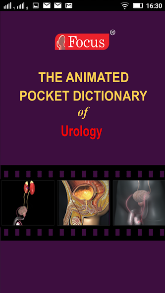 Urology - Medical Dictionary