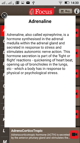 Endocrinology - Medical Dict.