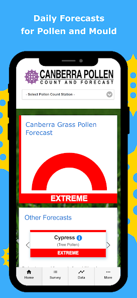 Canberra Pollen Count