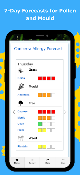 Canberra Pollen Count