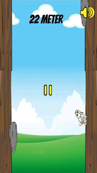 Jumping Rabbit Adventure