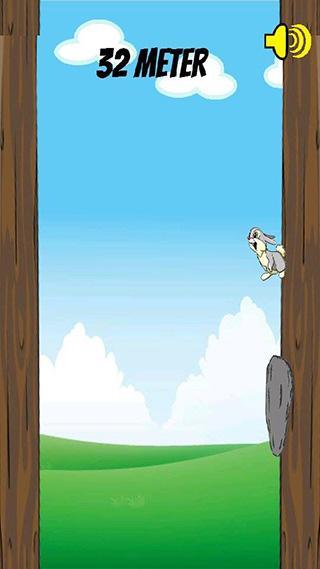 Jumping Rabbit Adventure