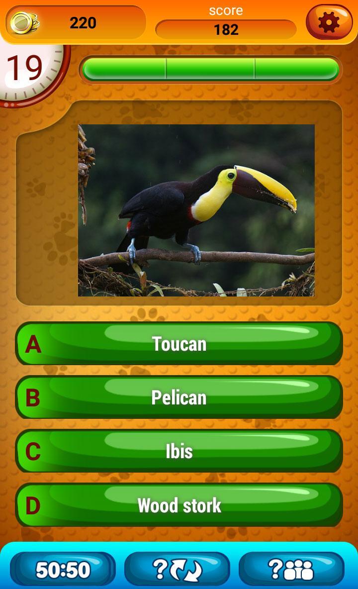 Animals Quiz Game