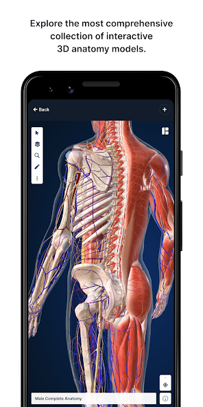 BioDigital Human - 3D Anatomy