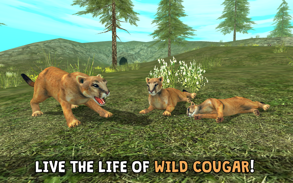 Wild Cougar Sim 3D