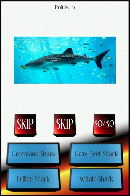 Sharks Picture Quiz