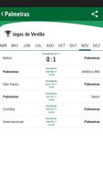 TIM Torcedor Palmeiras