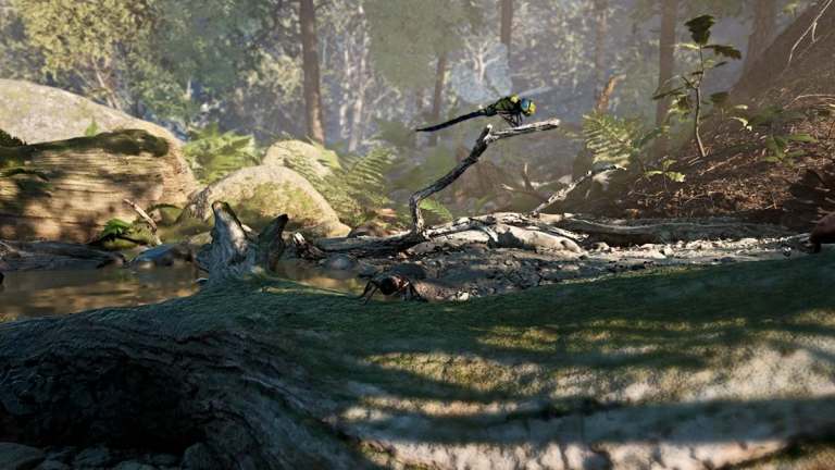 Cómo desbloquear el bestiario completo en Empire of the Hormhs
