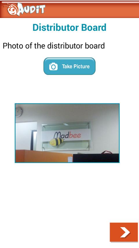 Vizibee Audit