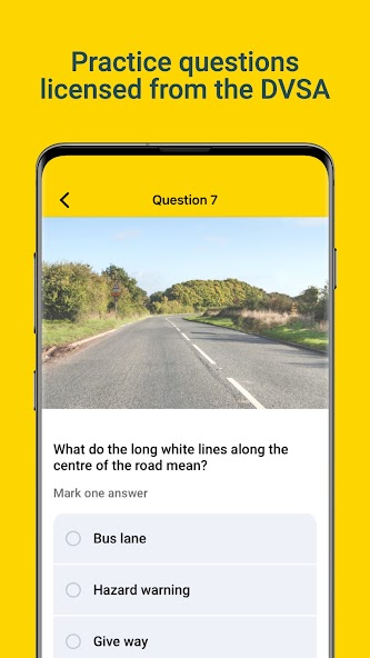 Theory Test Pro