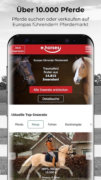 ehorses