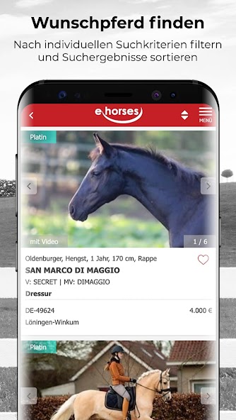 ehorses