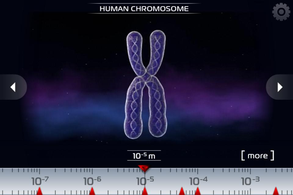 Science - Microcosm 3D