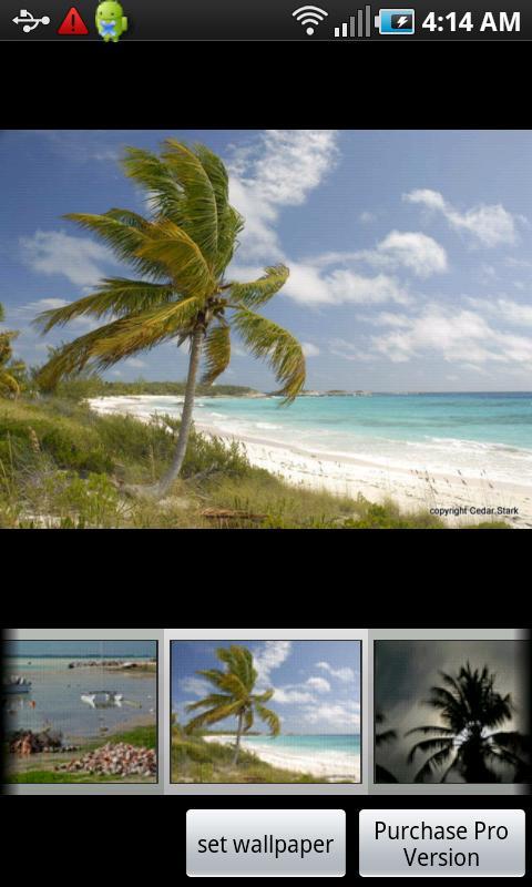 Island Life