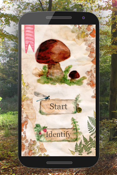 The Mushroom Book