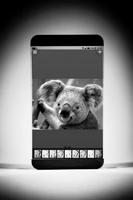 Easily sketch your image