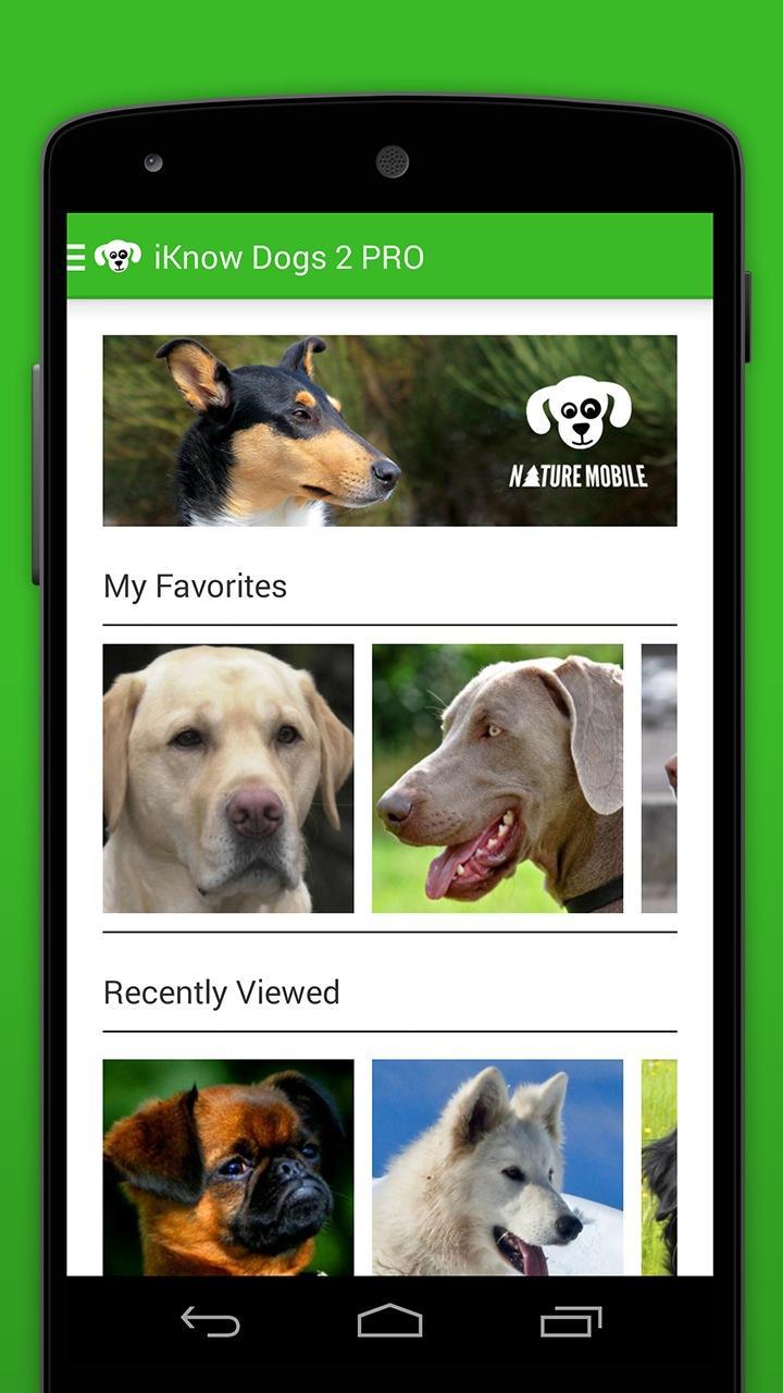 iKnow Dogs 2 LITE