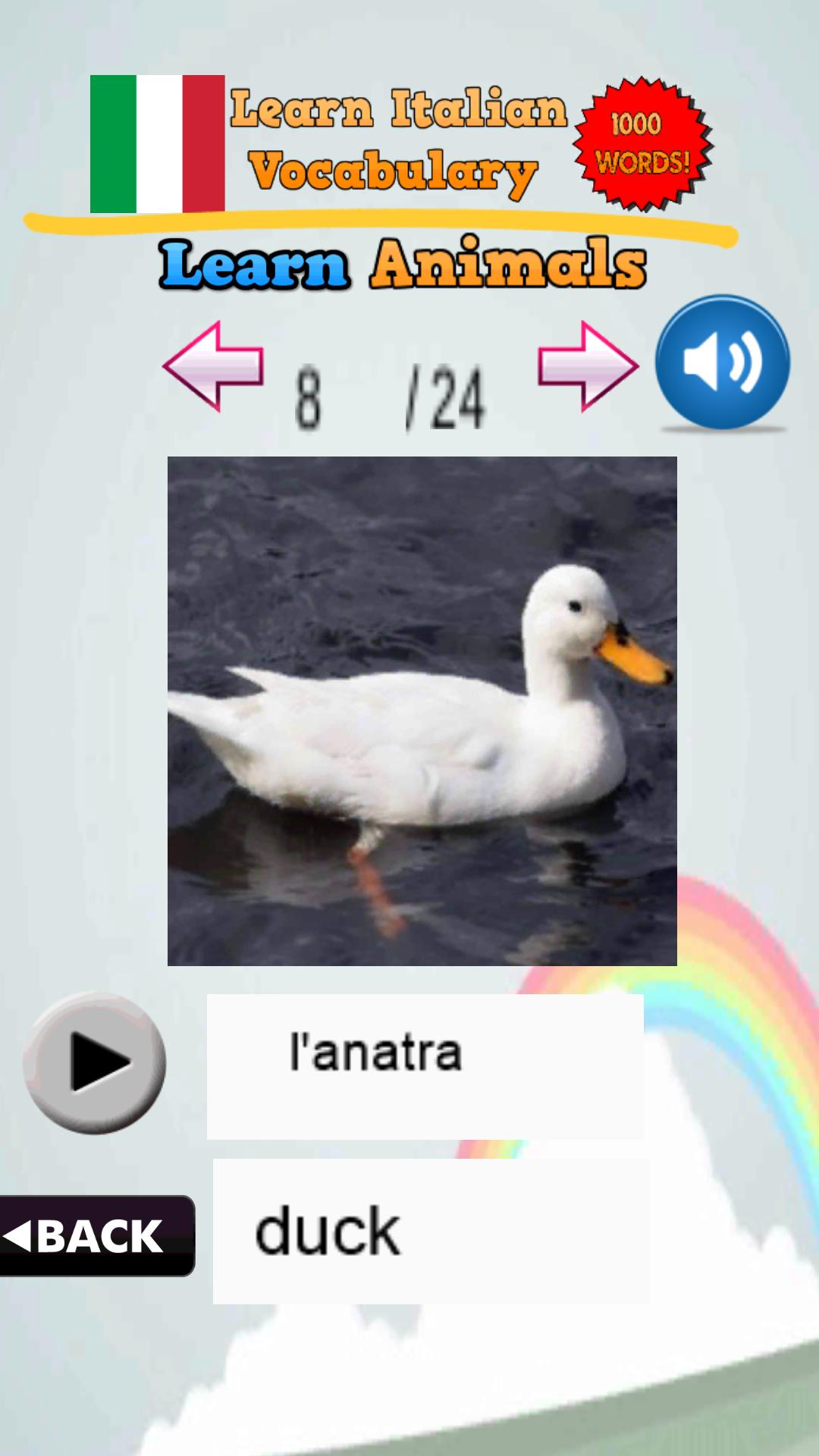 Learn Italian Vocabulary Words