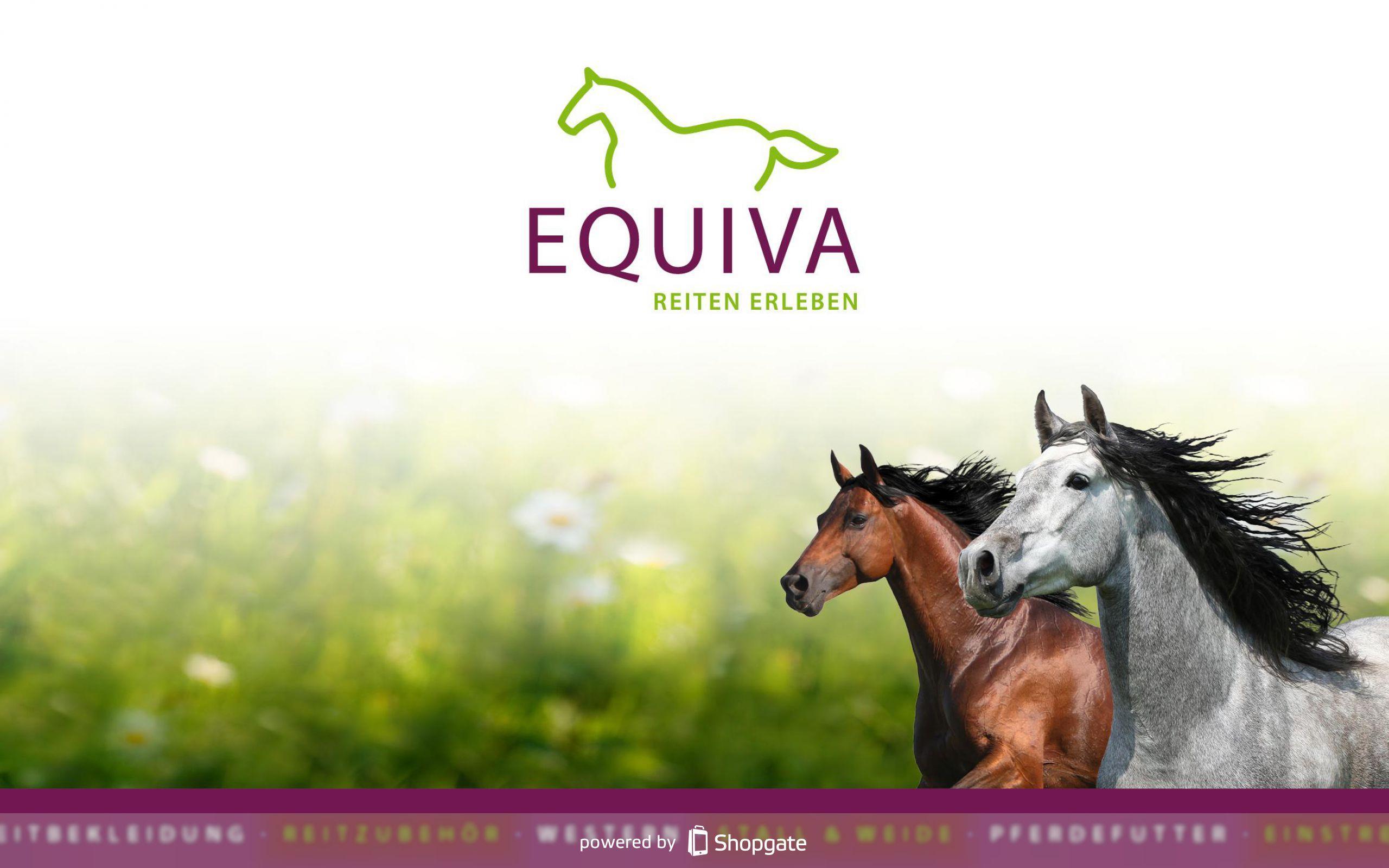 EQUIVA