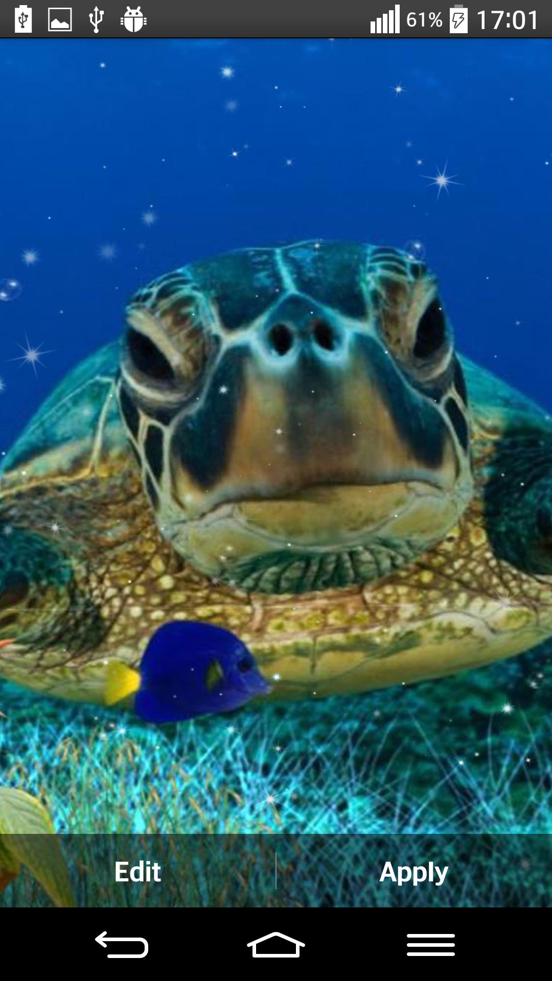 Nature Theme Wallpaper