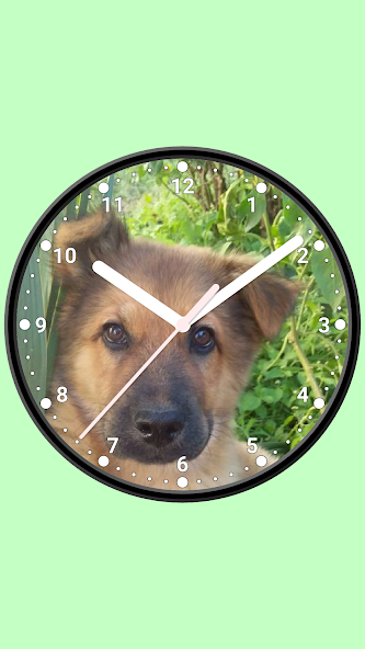 Photo Analog Clock-7