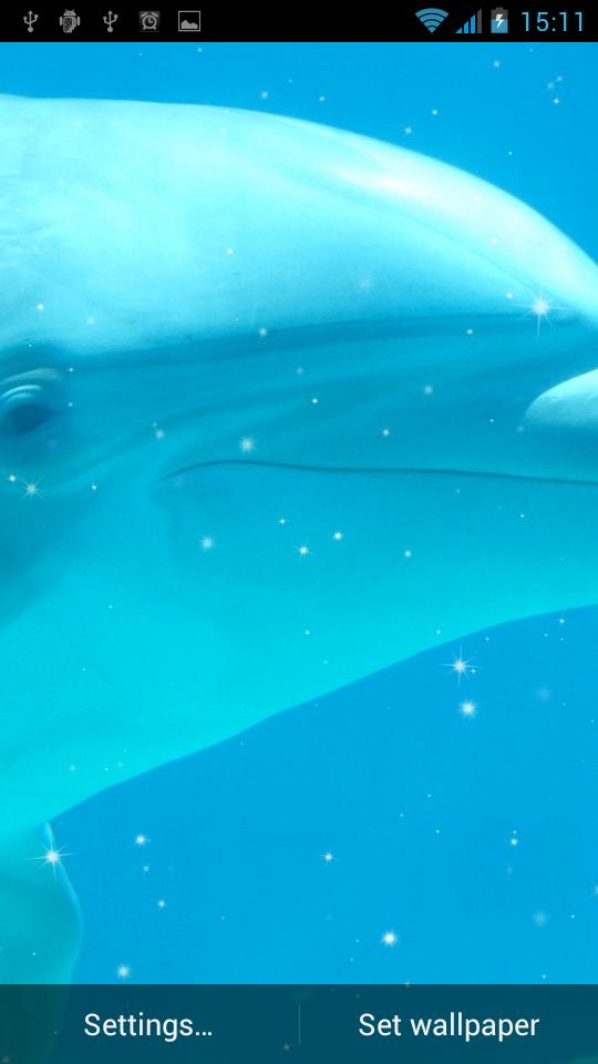 Dolphin Live Wallpaper