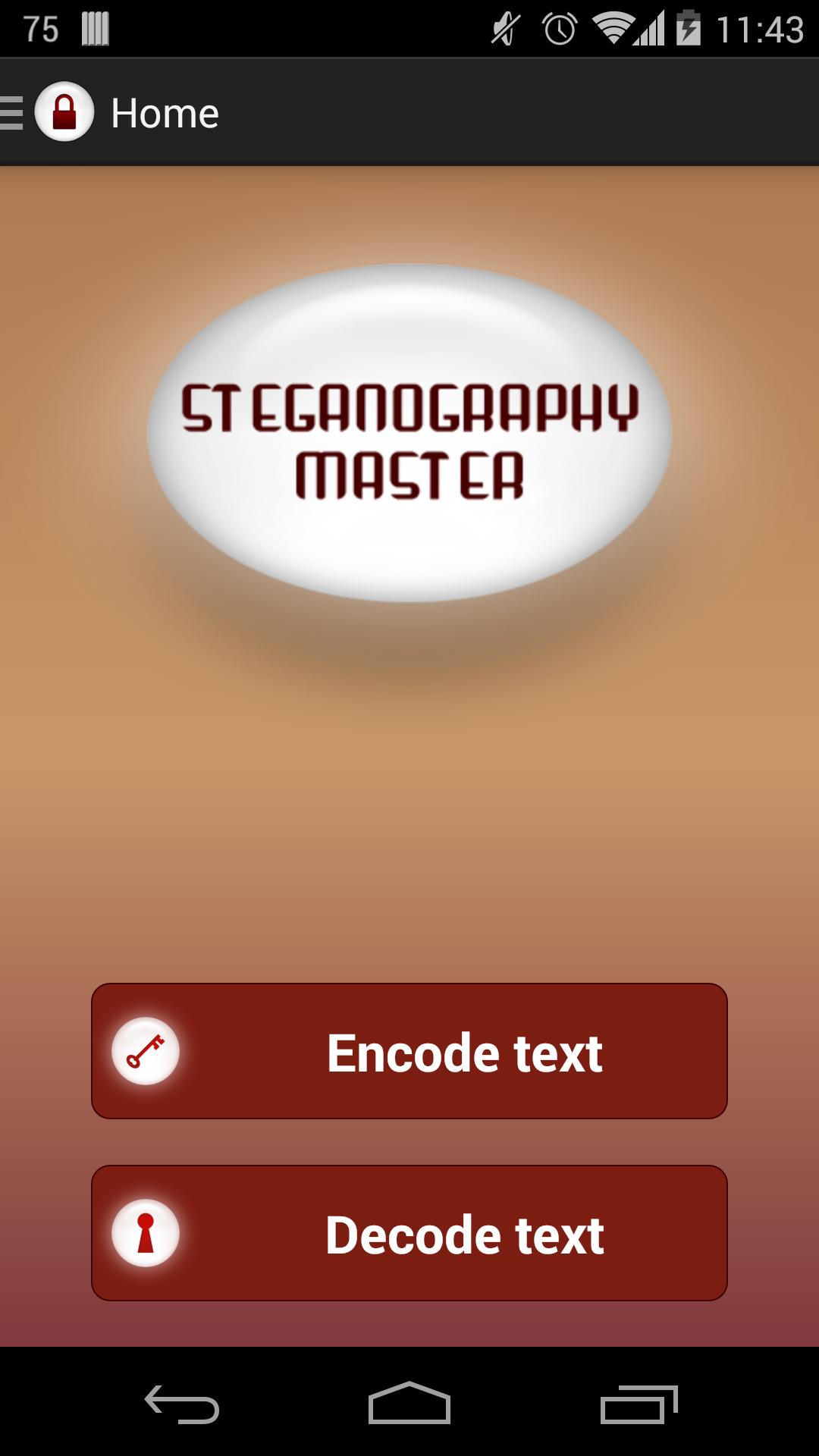 Steganography Master