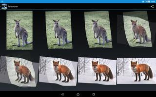 Daikonaka ImageFuse Lite